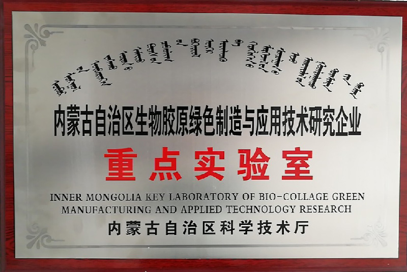 首页| 尊龙(中国集团)官方网站