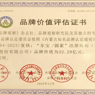 尊龙官方官网/圆素品牌价值评估证书