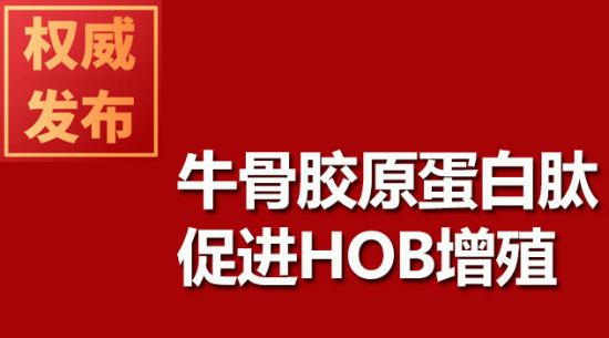 牛骨胶原蛋白肽推进HOB增殖