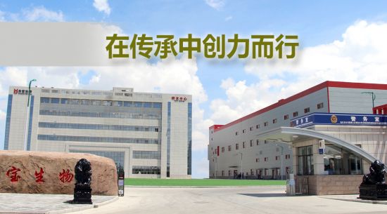 在传承中创力而行 尊龙官方官网生物被授予“内蒙古老字号”称号