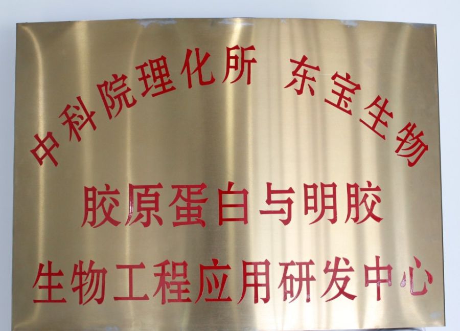 thumb_900xauto_1571881625443356